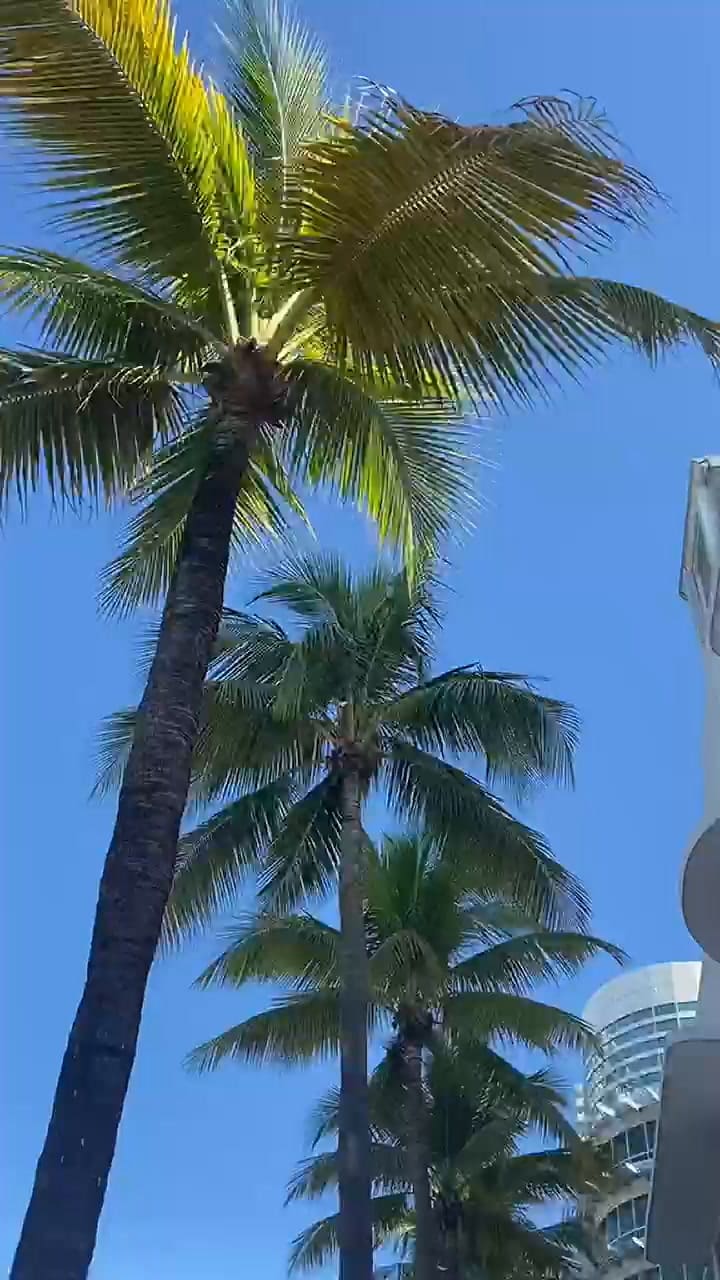 Los aspectos desconocidos de Miami