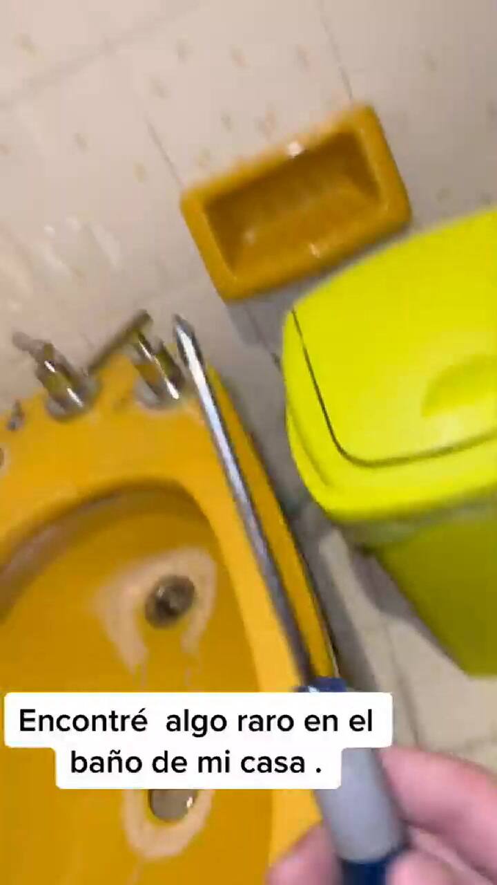 La primera parte del extraño descubrimiento viral