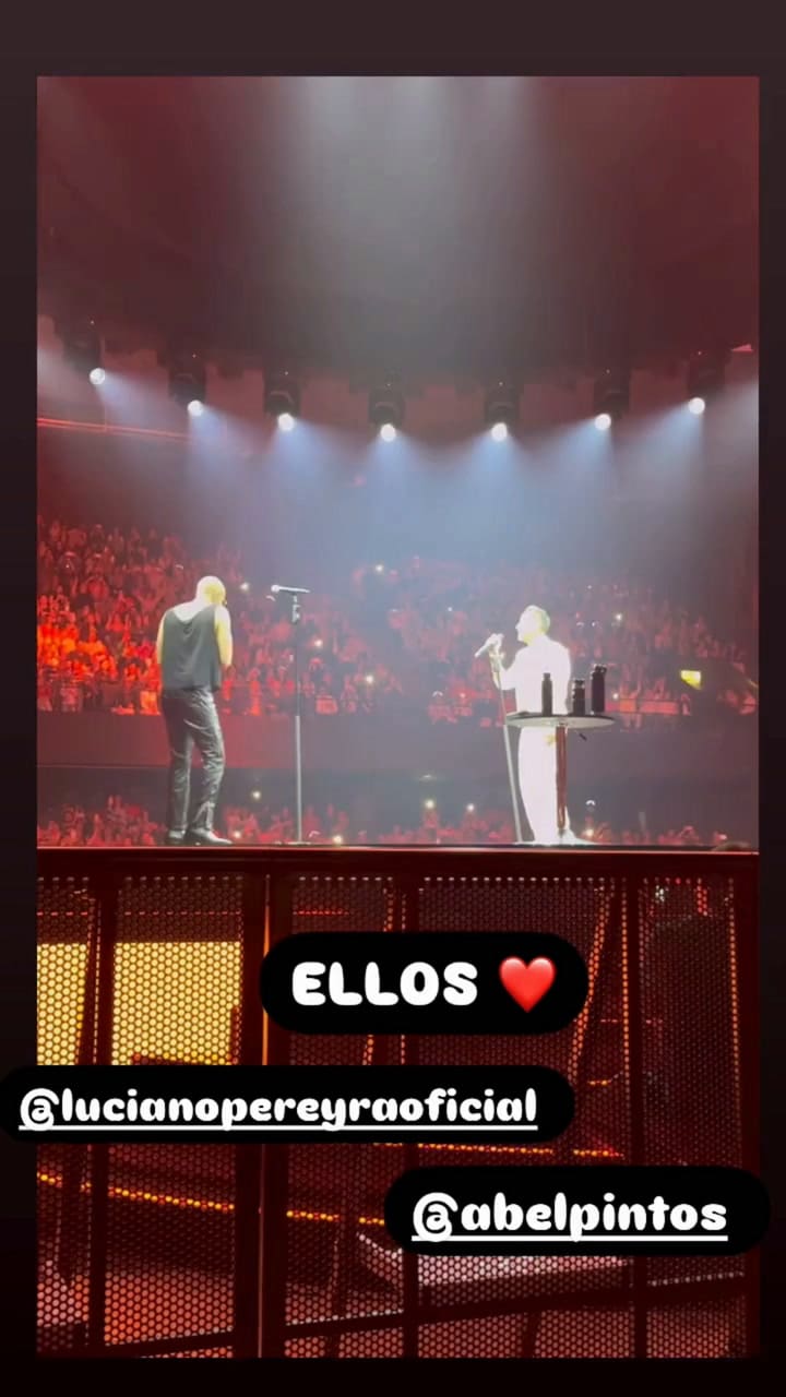 Gabriela Sabatini estuvo presente en el concierto de Abel Pintos y Luciano Pereyra