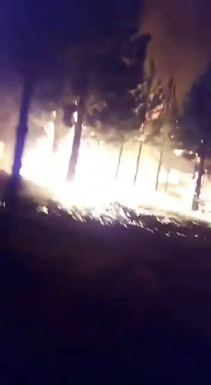 El incendio en Esquel desde cerca - Fuente: Twitter