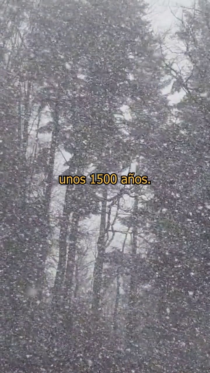 Cuándo llegaría la nueva glaciación, según los expertos