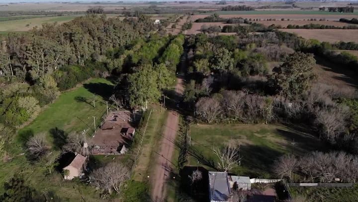 El pueblo mínimo a metros de un río que lotea un bosque de eucaliptos en busca de nuevos habitantes