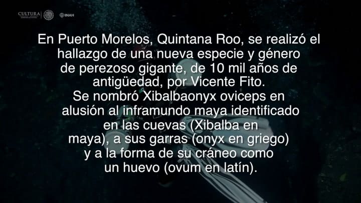Hallazgo de nueva especie de Perezoso Gigante en Quintana Roo