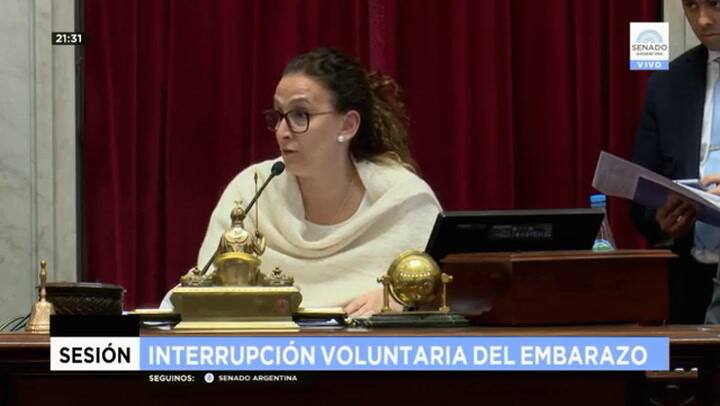 Michetti dijo que está garantizada la seguridad de la sesión - Fuente: Senado