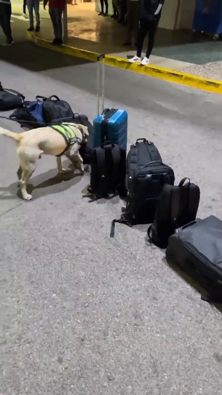 Historia de Dibu Martínez