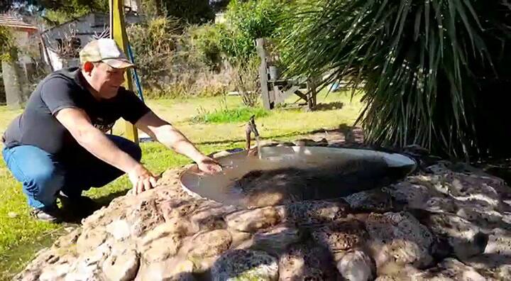 Una familia adoptó un carpincho que encontraron maltrecho