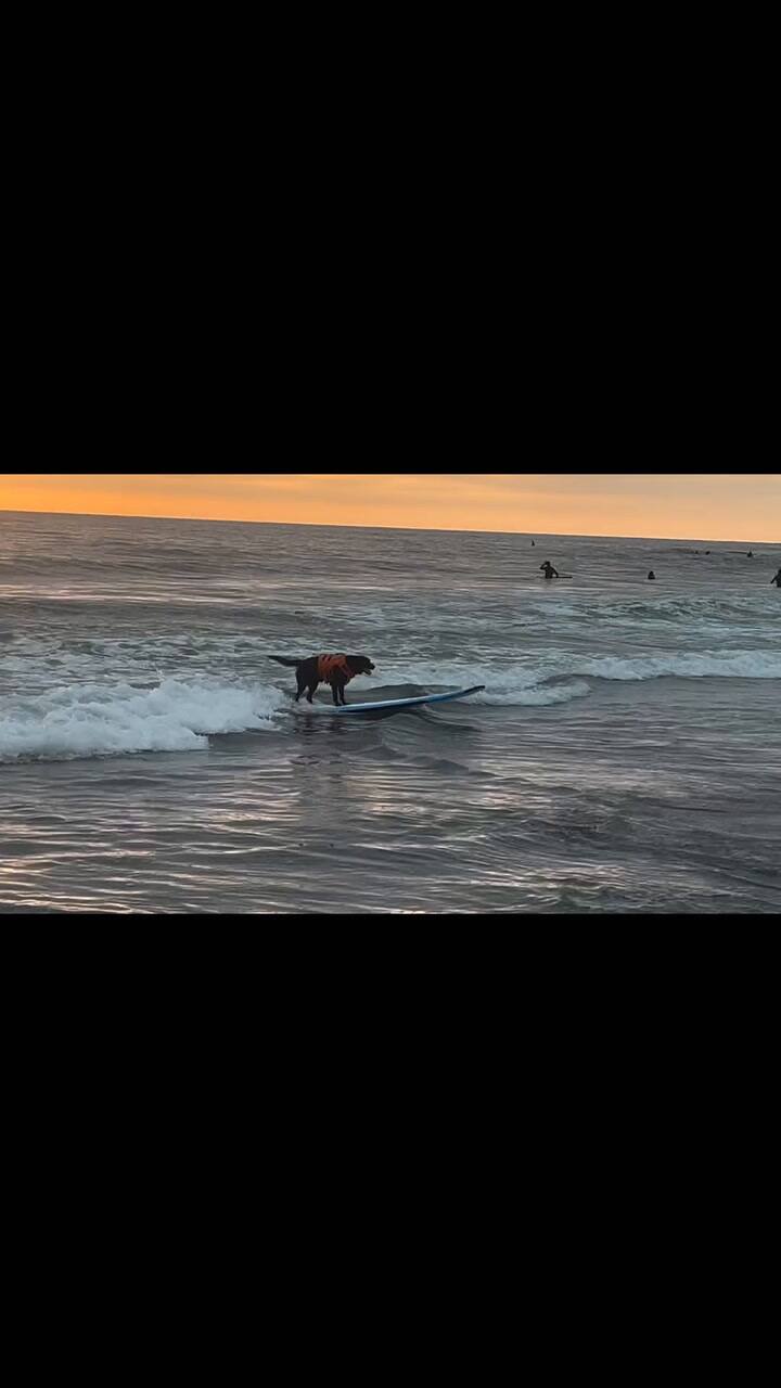 When We’re Not Working, We’re Out With The Sunset! There Have Been So Many Lovely People We’ve Met Along The Way! Thank You Laura Gonzolas For Sharing This Gem, You Made Our Night