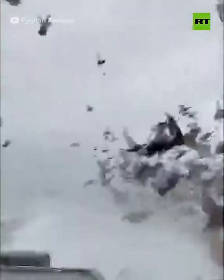 Capturan una gigantesca bandada de miles de patos en Rusia