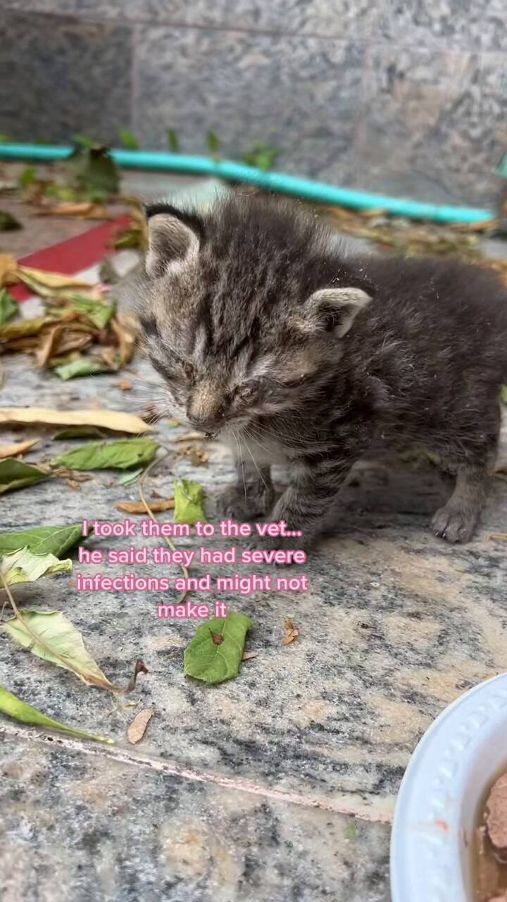 Tenían una infección severa en los ojos, pero los salvaron y se transformaron en un ejemplo de resiliencia