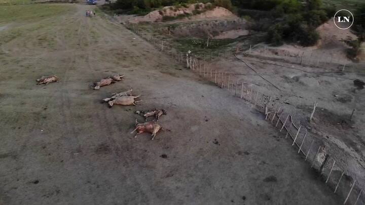 Imágenes sensibles. La inundación en el norte de Santa Fé