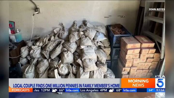 Encontraron un tesoro escondido en su casa