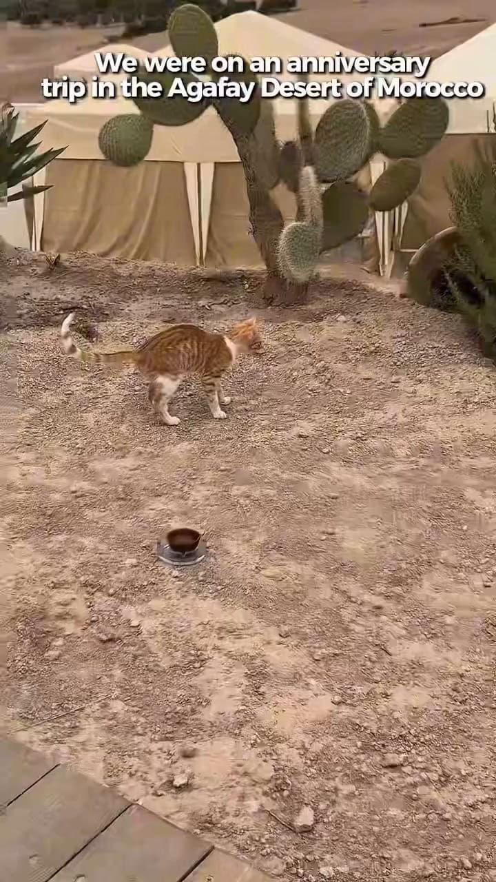 La historia de Zahra, desde Marruecos hasta Nueva Jersey