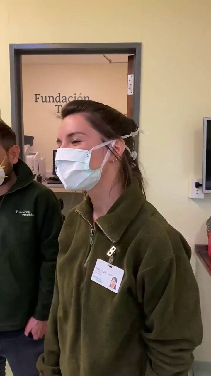 Cómo fue el rescate de un Aguará Guazú