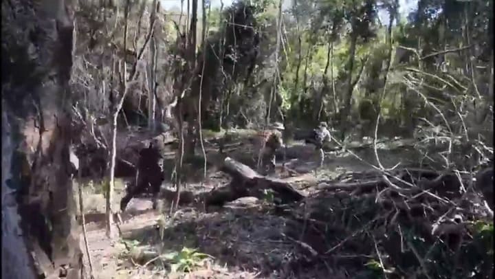 Así desmantelaban el campamento narco