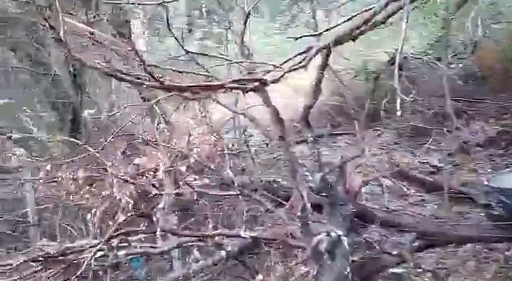 La Cristalina, una propiedad atacada hace un año