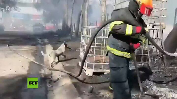 Un perro llora tras ver incendiada su casa - Fuente RT