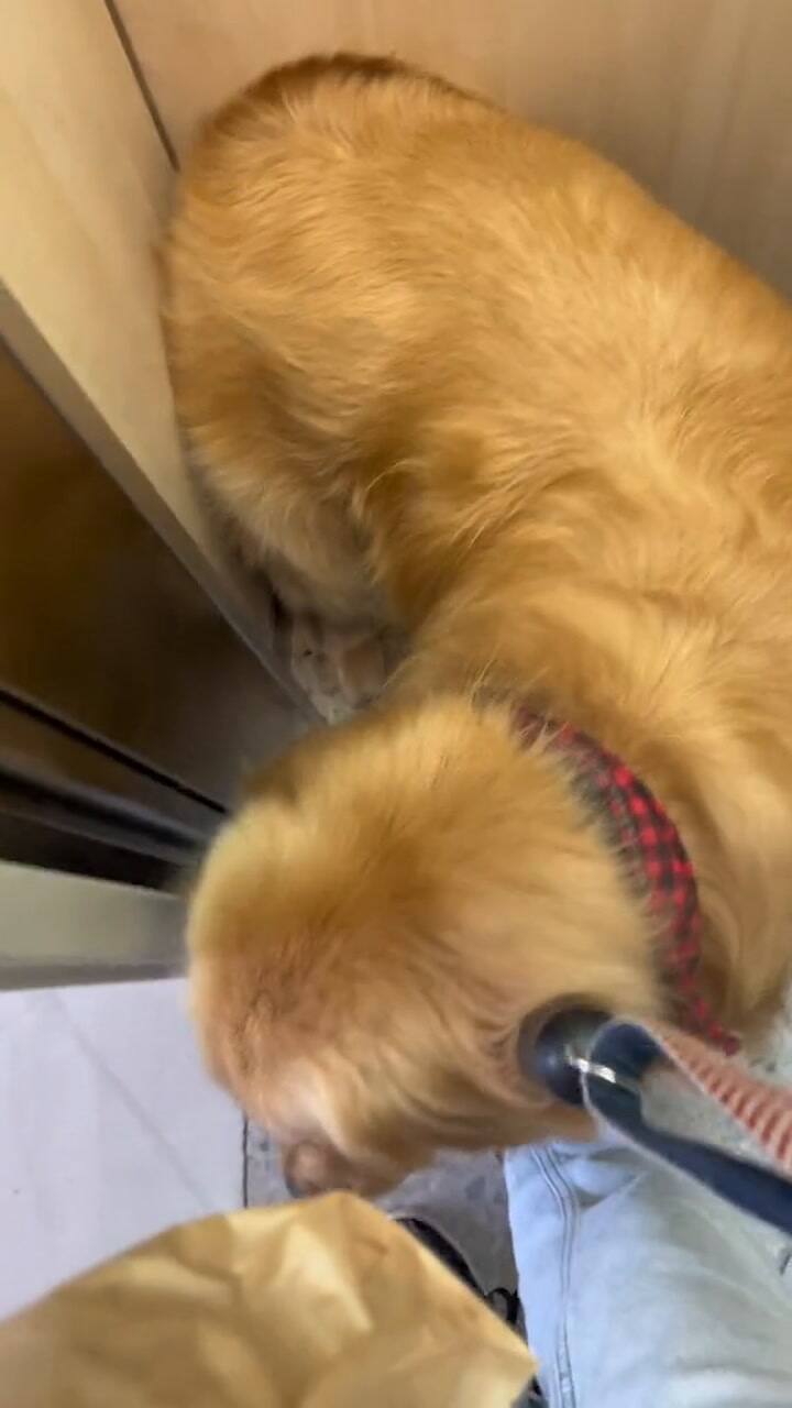 Ssstik.io @Nataliasimontiktok 1731438514711