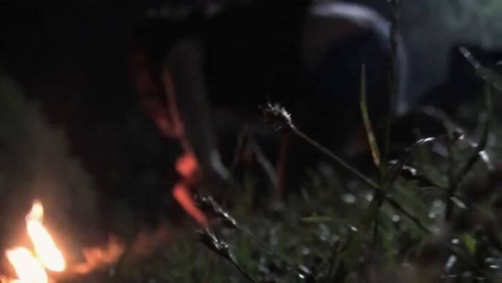 Trailer Wer - Pelicula De Terror