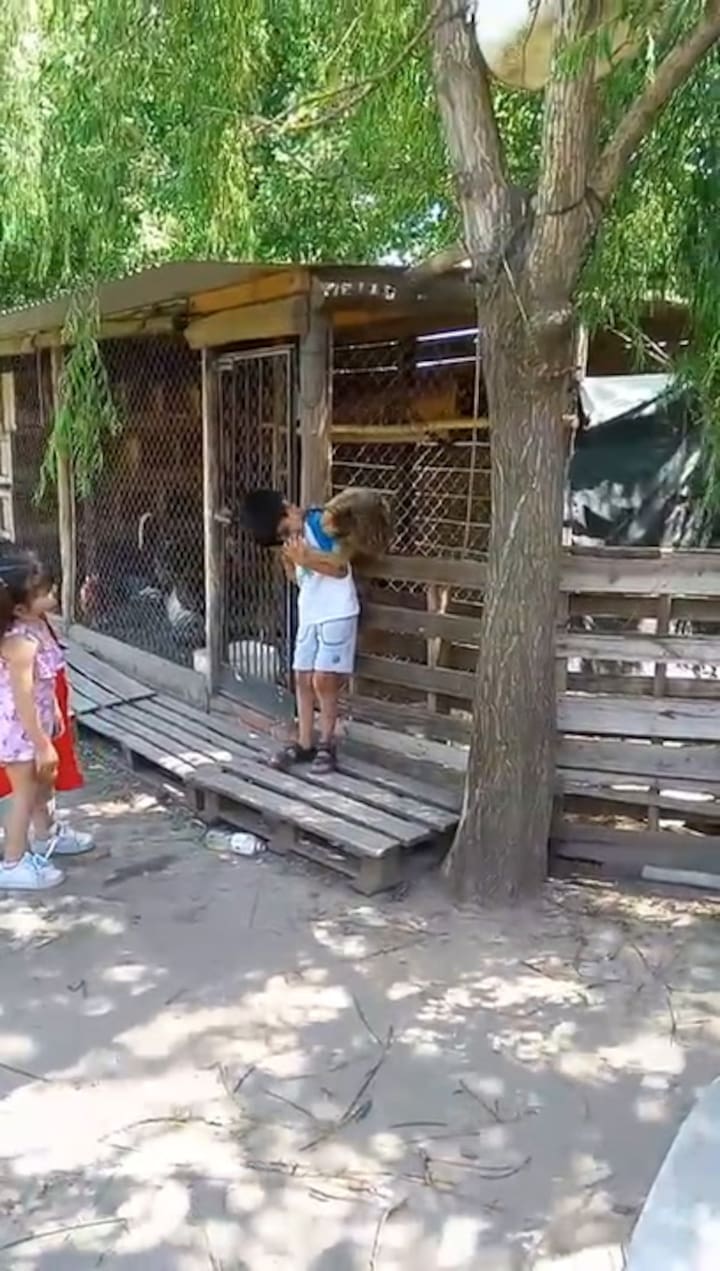 La mona Moni, en Trenque Lauquen