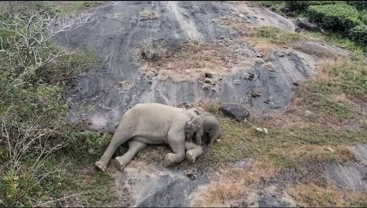 Savetwitter.net 1742941980454244352(480p)