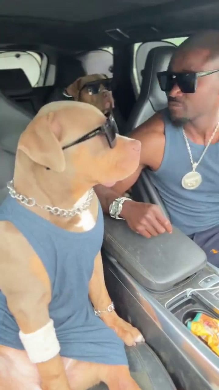 Los fans de los Backstreet Boys que se volvieron virales