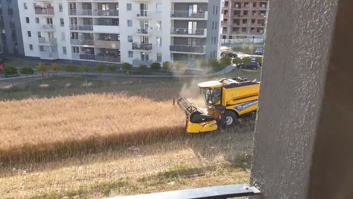 El hombre cosecha todas las temporadas en pleno centro de la ciudad