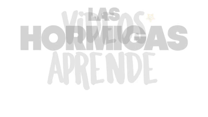 Conocé el mundo de las hormigas