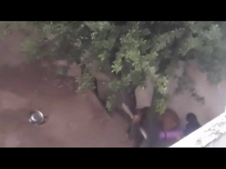 Córdoba: rescatan a un perro tras la difusión de un video en el que su dueña lo golpeaba