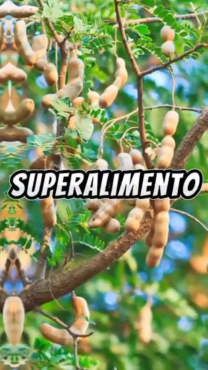 Los importantes beneficios del tamarindo para la salud