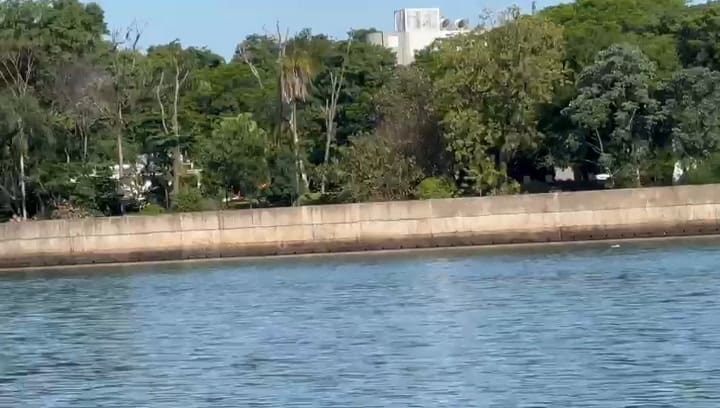 La muralla de la casa de Rovira, del lado del rio