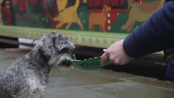 DoggySsentials Bus Tour