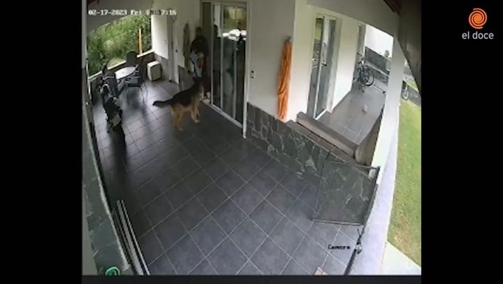 Les robaron todo y cuando se iban quisieron llevarse a un niño de 9 años