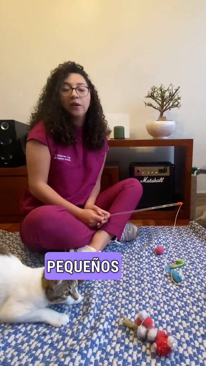 Objetos peligrosos para los gatos