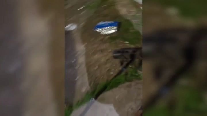 Desbaratan a una banda que robaba motos en la Ciudad