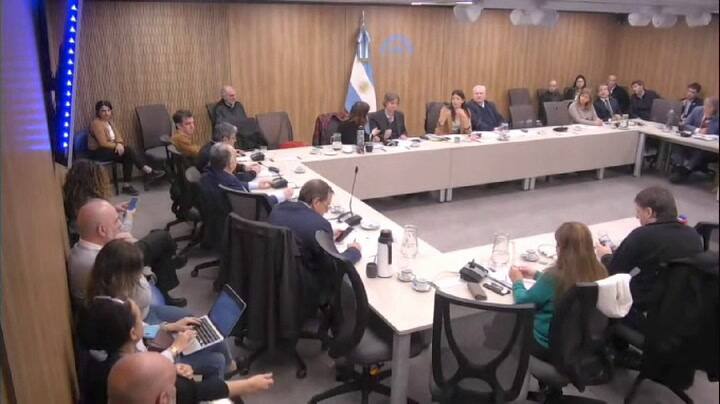 Carolina Gaillard protagonizó varios cruces con diputados libertarios en la comisión de Libertad de Expresión