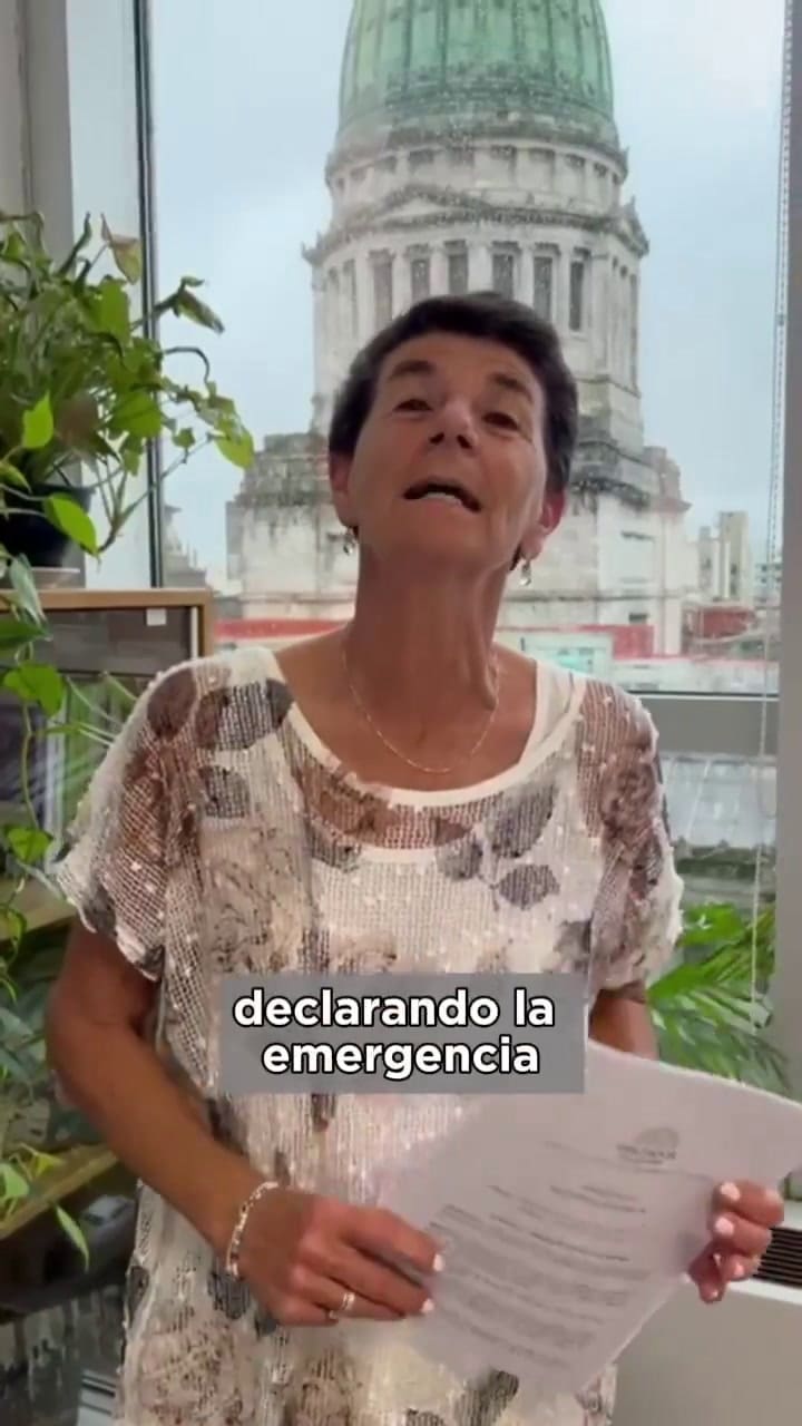 Fotomultas: el proyecto de la diputada Patricia Vásquez