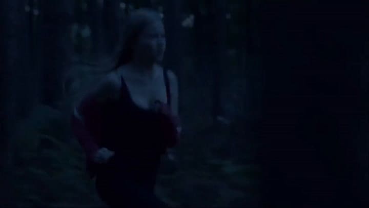 El bosque, tráiler