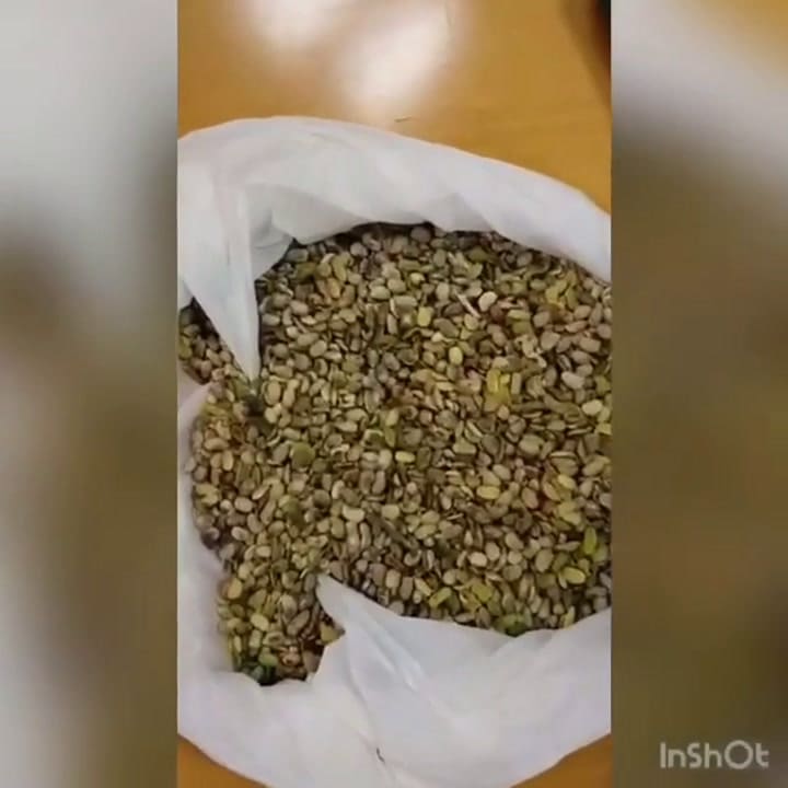 Qué granos se consideran dañados en soja - Fuente: Agroentregas SA