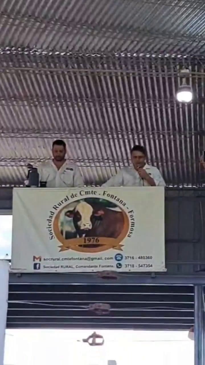 En Formosa el gobierno de Insfran monta un operativo policial contra el senador Paoltroni para que no realice su remate de hacienda mensual