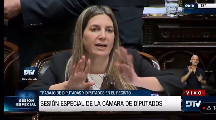 Así fue el homenaje en la cámara de Diputados para la diputada que perdió un bebé