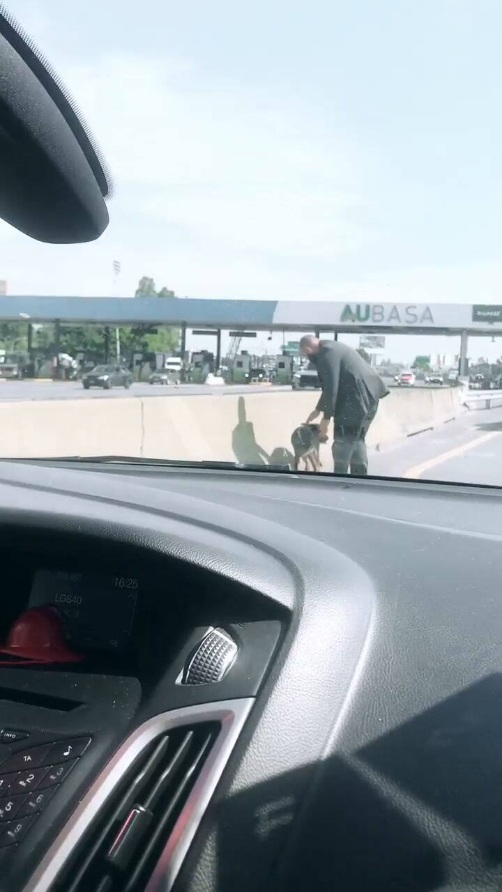 El rescate del perro Enero