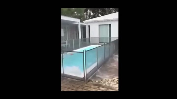 Tiró un cerdo desde un helicóptero