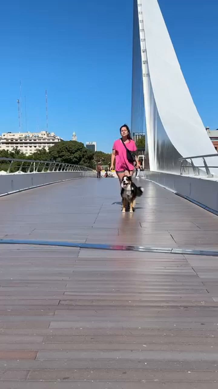 El dog dancing es una disciplina incipiente en Argentina