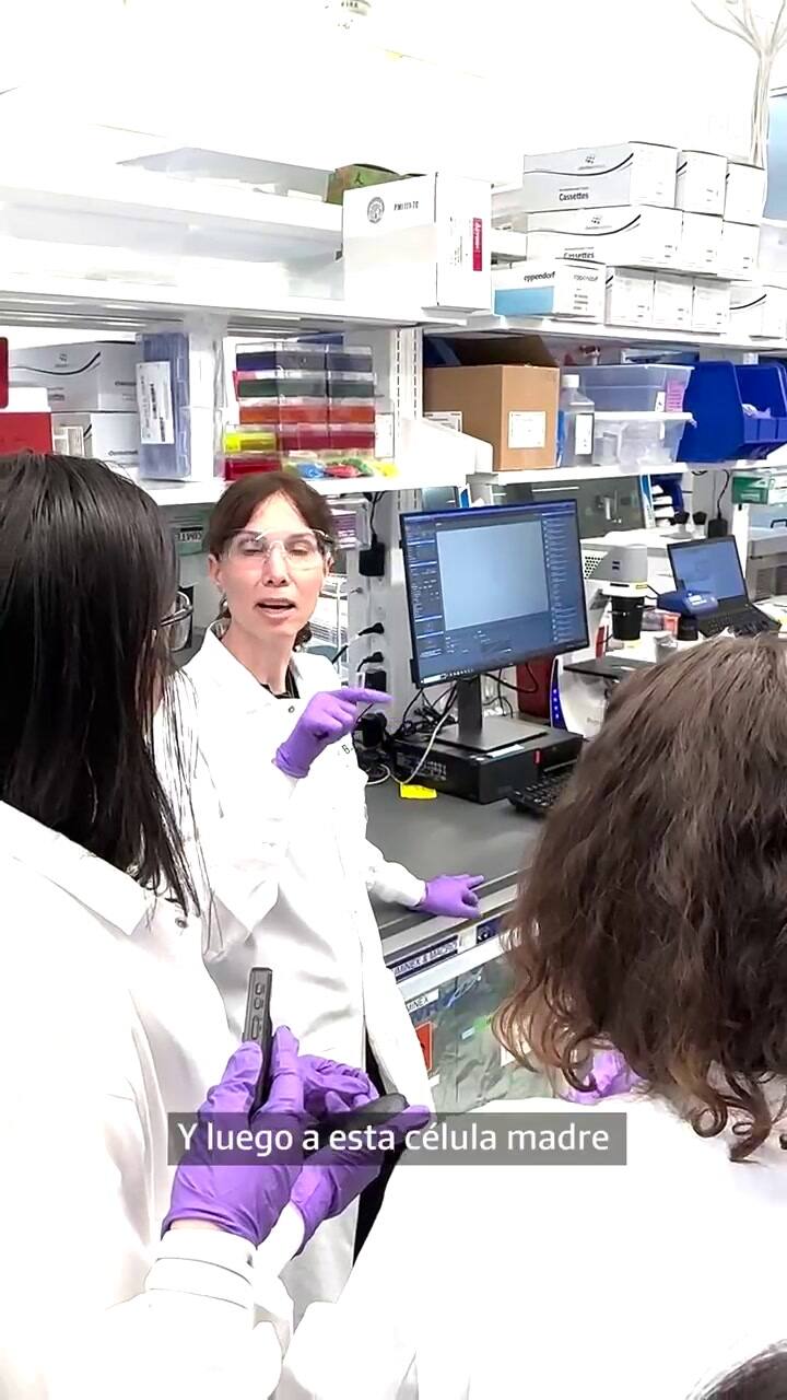 Regeneración de celulas