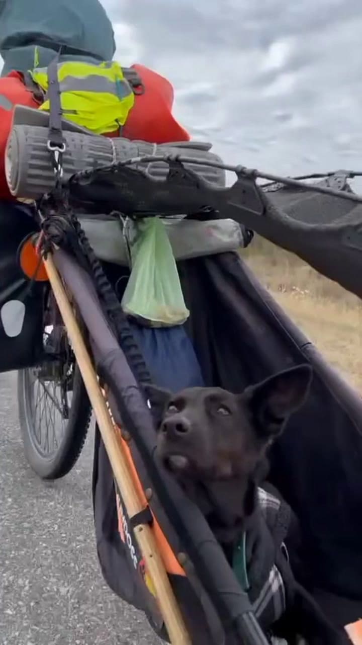 La historia de Augusto Galeppi y su perra Yara: un viaje que se transformó en forma de vida