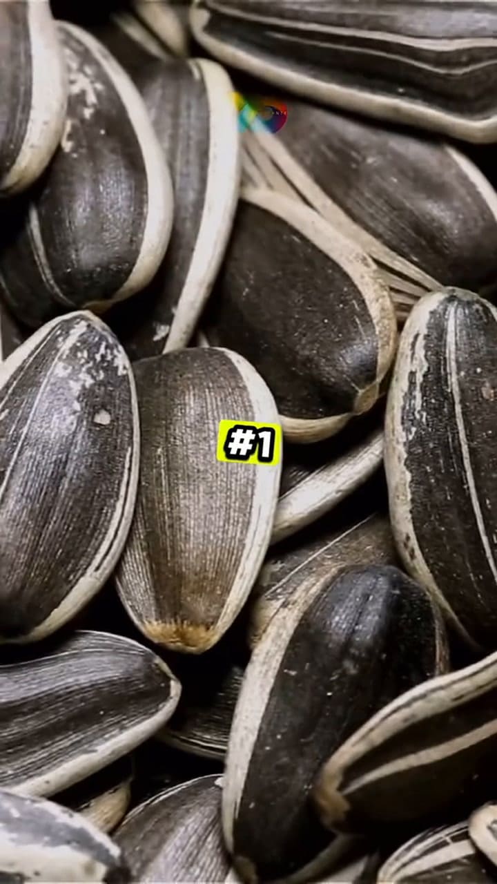 Los increíbles beneficios de las semillas de girasol, calabaza, chía, sésamo negro y linaza para tu salud