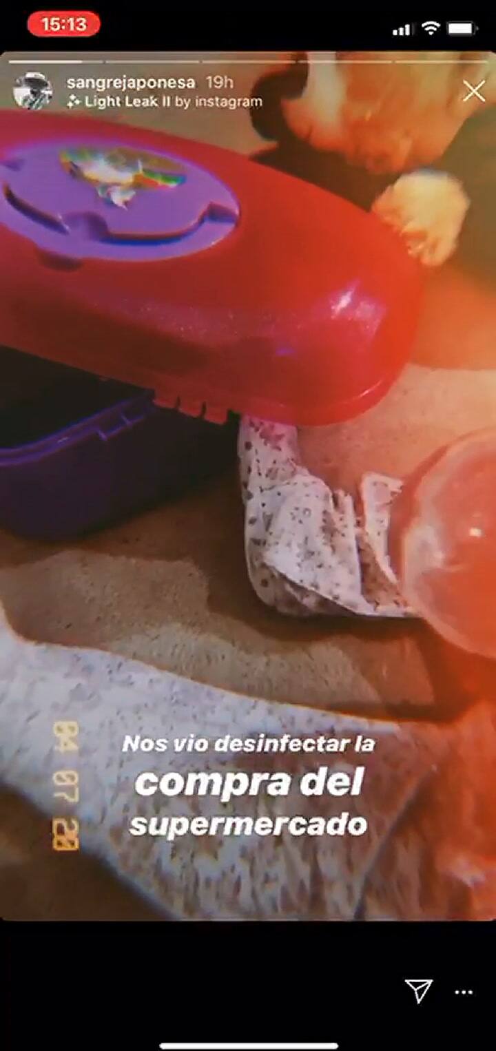 La China Suárez mostró a Magnolia desinfectando sus juguetes con alcohol