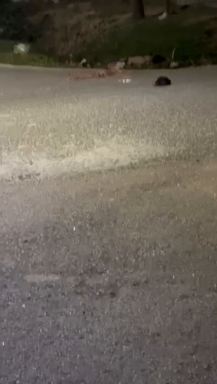 Así fue el brutal ataque a Leandro Cejas