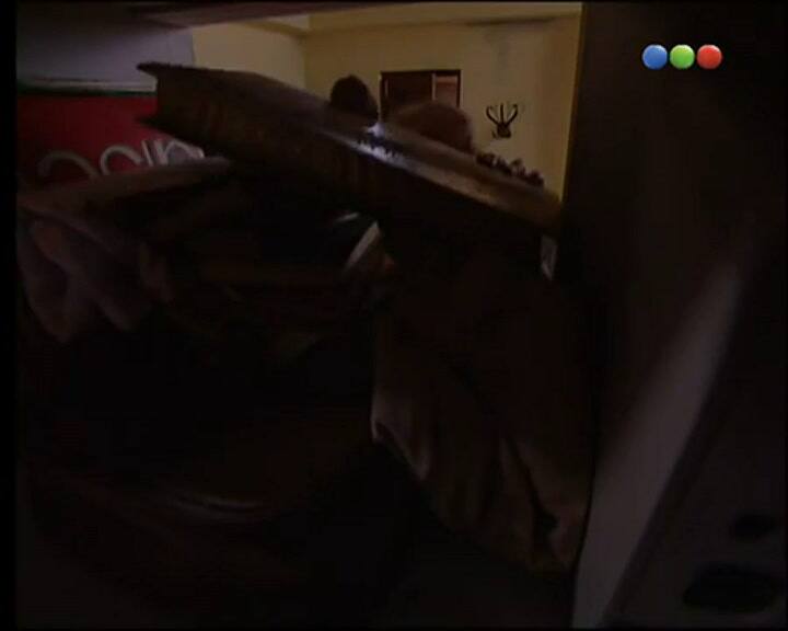 Capítulo 1 - Costumbres Argentinas