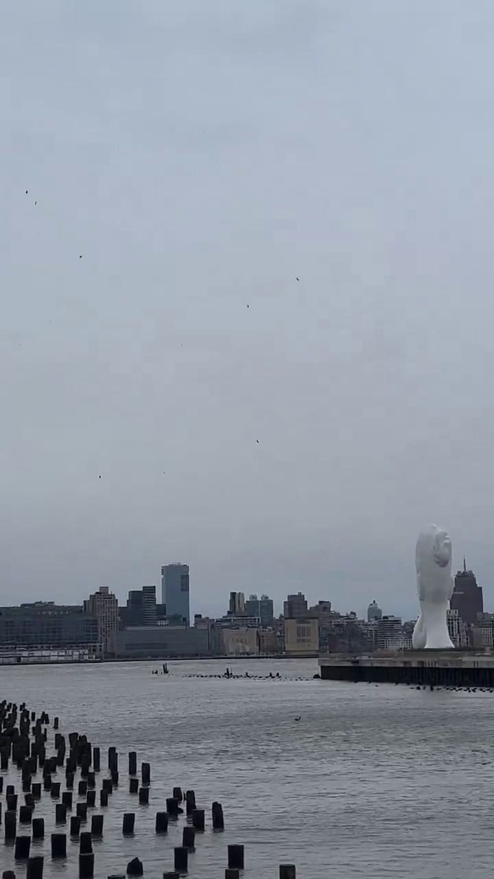 Un helicóptero cayó sobre el río Hudson